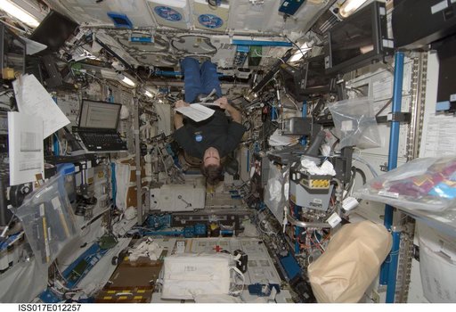 Chamitoff looks over checklist in the U.S. Laboratory during Expedition 17