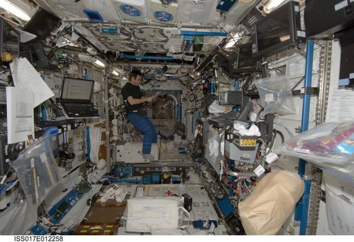 Chamitoff looks over checklist in the U.S. Laboratory during Expedition 17
