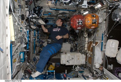 Chamitoff performs a 3.5 hour run with the SPHERES Payload in the U.S. Laboratory during Expedition 17
