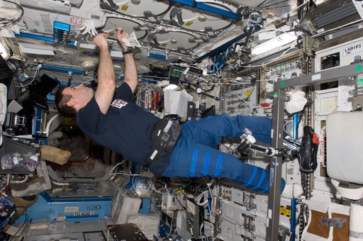 Chamitoff works with the MELFI in the U.S. Laboratory during Expedition 17