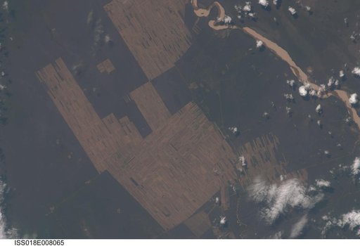 Earth Observations taken by the Expedition 18 Crew