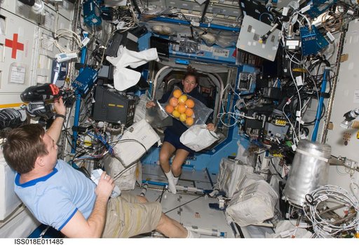 ISS Expedition 18 Yuri Lonchakov in US Laboratory Destiny