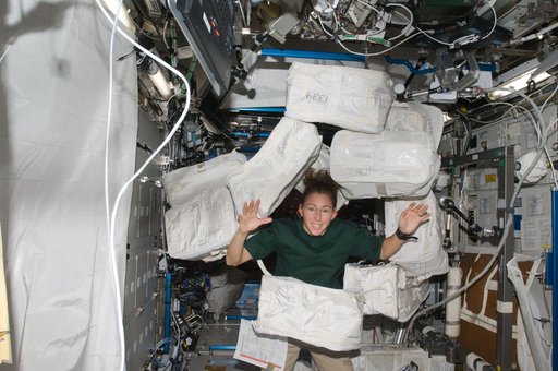 ISS Expedition 18 Magnus in US Laboratory Destiny
