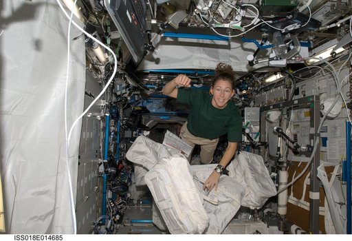 ISS Expedition 18 Magnus in US Laboratory Destiny