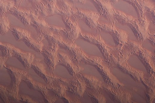 Earth Observations taken by the Expedition 18 Crew