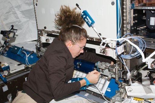 ISS Expedition 18 Fluids and Combustion Facility (FCF) Combustion Integration Rack (CIR) Passive Rack Isolation System (