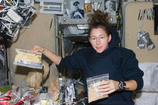 Magnus Food Prep in Service Module (SM)