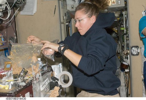 Magnus Food Prep in Service Module (SM)