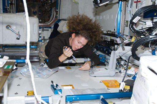 ISS Expedition 18 Lab-On-a-Chip Applications Development (LOCAD) OPS