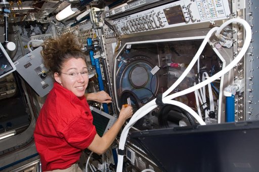 Investigating the Structure of Paramagnetic Aggregates from Colloidal Emulsions (InSPACE-2) Experiment in Microgravity S