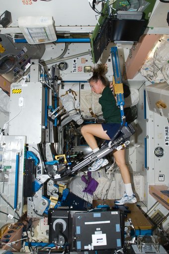 ISS Expedition 18 Sandra Magnus uses Advanced Resistive Exercise Device (ARED)