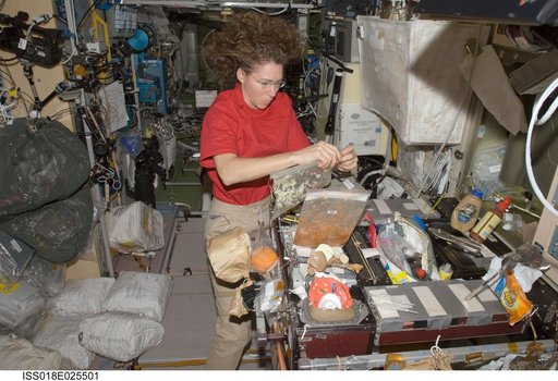 ISS Expedition 18 Food Preparation in Service Module (SM)