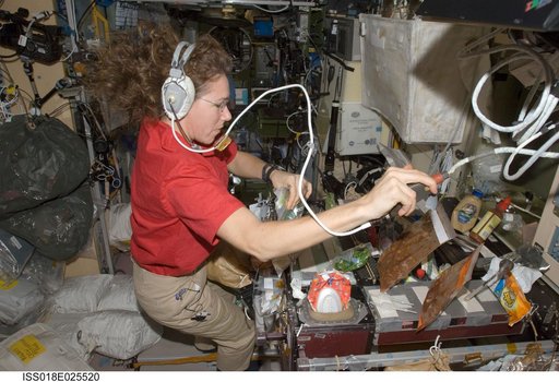 ISS Expedition 18 Food Preparation in Service Module (SM)