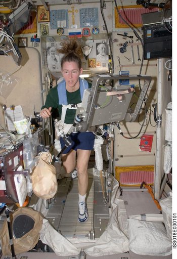 ISS Expedition 18 Sandra Magnus on the Treadmill Vibration Isolation and Stabilization (TVIS) in Service Module (SM)