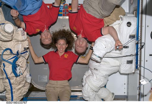 Increment 18 crew photo