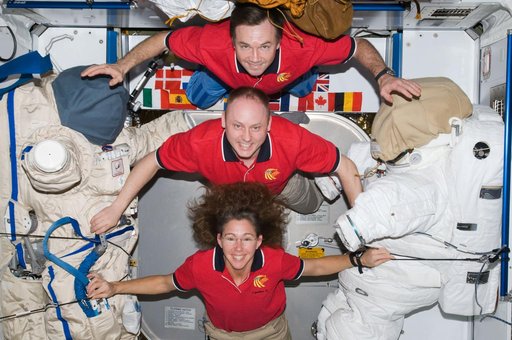 Increment 18 crew photo