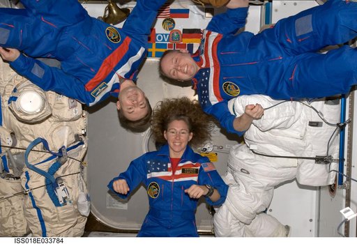 Increment 18 crew photo
