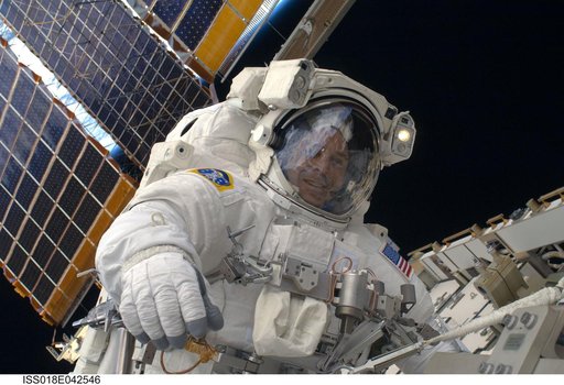 Arnold on S1 Truss during STS-119 Extravehicular Activity (EVA) 3