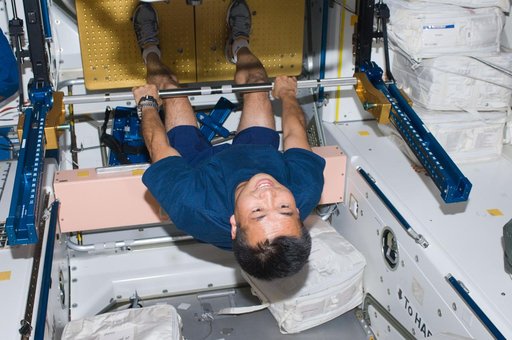 Wakata uses Advanced Resistive Exercise Device (ARED) in Node 1 Unity