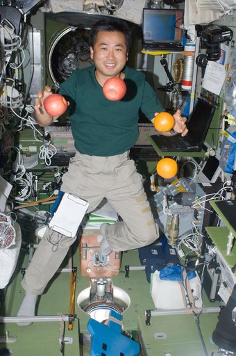 Wakata with fruit in Service Module (SM)