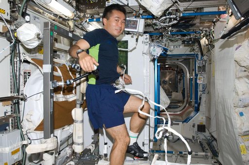 Wakata on Cycle Ergometer with Vibration Isolation System (CEVIS)