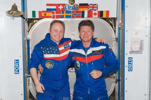 Expedition 18 / 19 Crew Photo in Node 2 Harmony