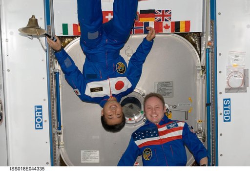 Expedition 18 Group photo with Wakata and Fincke in Node 2 Harmony