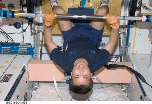 Wakata exercises with Advanced Resistive Exercise Device (ARED) in Node 1 Unity