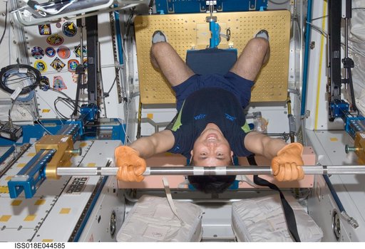 Wakata exercises with Advanced Resistive Exercise Device (ARED) in Node 1 Unity