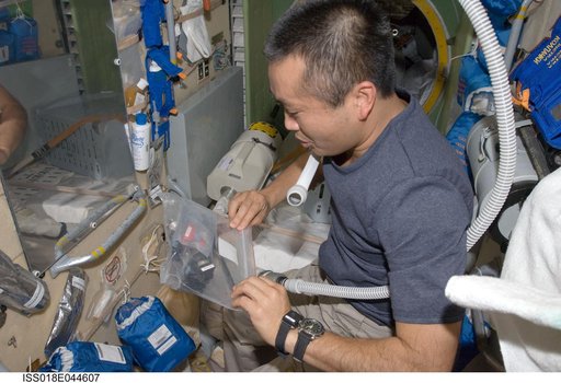 Wakata haircut in the Service Module (SM)