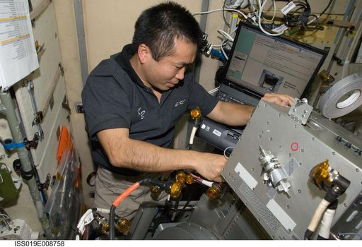 Wakata during TVIS maintenance