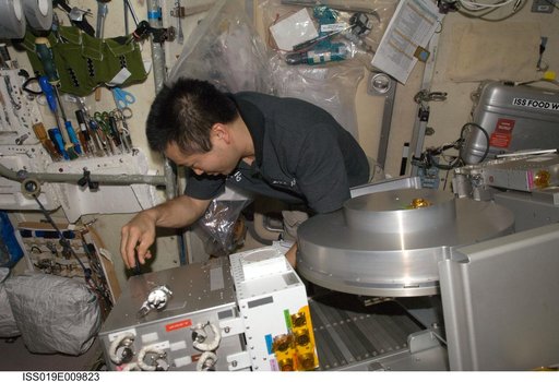 Wakata with TVIS in Service module