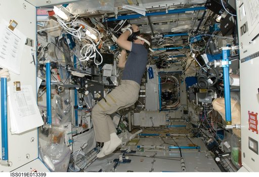 BISE (Bodies in the Space Environment) experiment