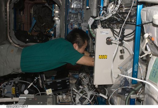 Wakata with GLACIER in U.S. Lab
