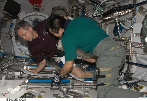 Wakata and Thirsk with MELFI in KIBO