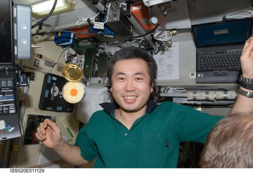 Wakata in SM