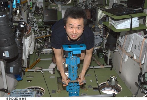 PZEh-MO-8/Body Mass Measurement