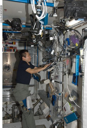 Wakata in Node 2