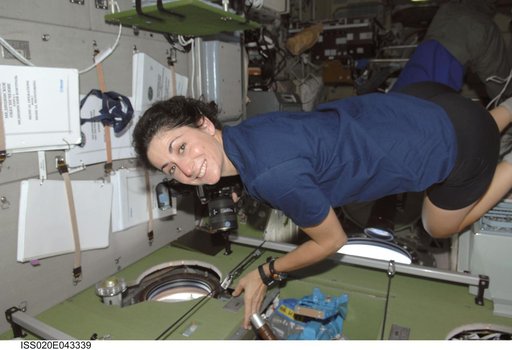 Stott in Service Module