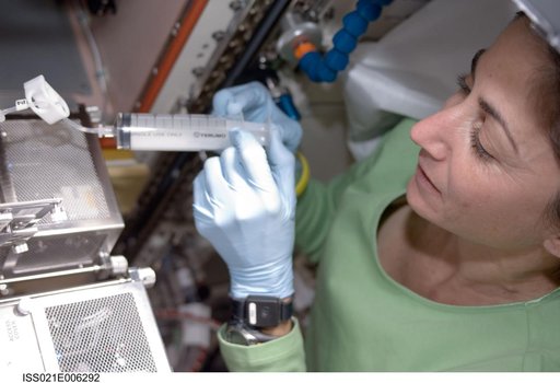 FE-2 Nicole Stott works on the CBEF Space Seed Experiment