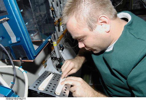 FE-1 Suraev prepares a new version of the BIO-5 Rasteniya-2 Experiment