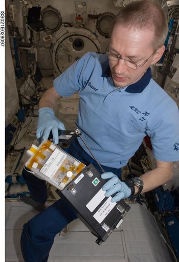 Commander De Winne works on the RadSilk Experiment in the JPM