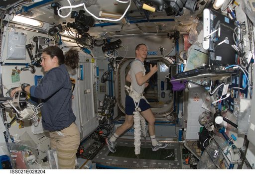 Commander De Winne exercises on the COLBERT/T2 Treadmill
