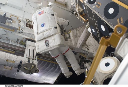 View of STS-129 MS2 Bresnik during EVA2