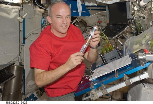 Williams performs service on the APEX-Cambium in the JPM during Expedition 22
