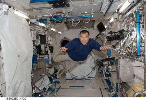 Noguchi in the JPM during Expedition 22