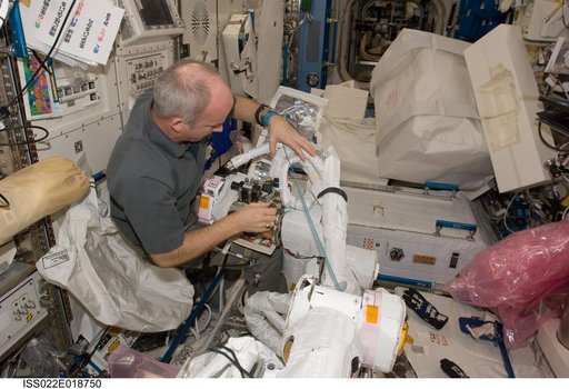 Williams works on the JEMRMS SFA in the JPM during Expedition 22