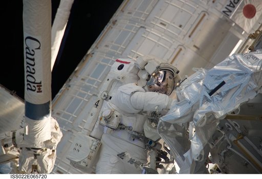 Behnken during EVA-2