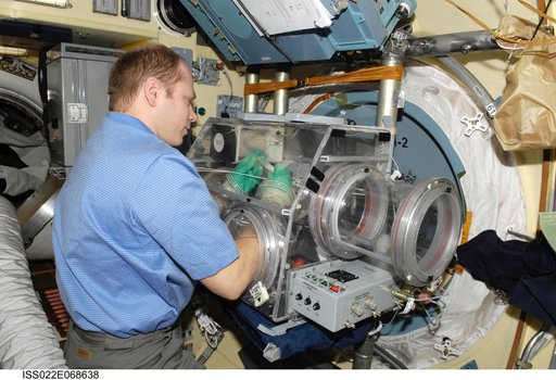 Kotov works with samples from the Bioscience Experiment ASEPTIC during Joint Operations