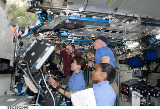 Yamazaki, Wilson, Creamer and Poindexter in US Lab
